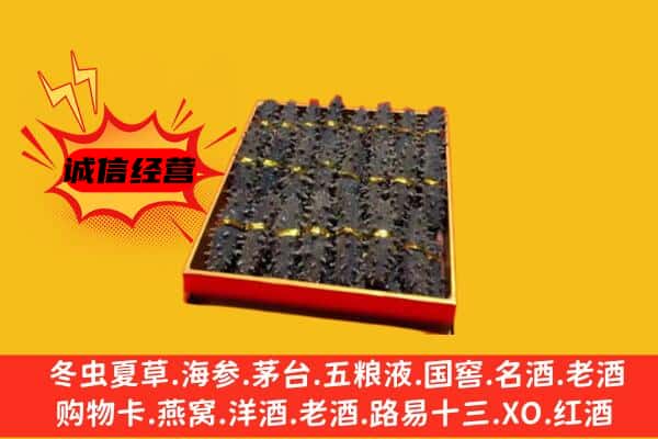 白城市通榆回收海参